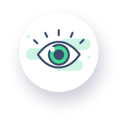 Vision
