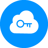 Custom SSO Custom SSO